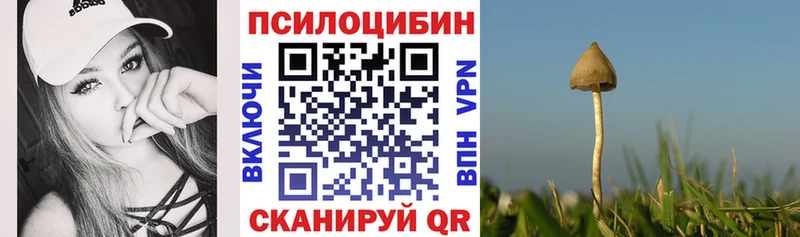 Псилоцибиновые грибы мухоморы  Лихославль 